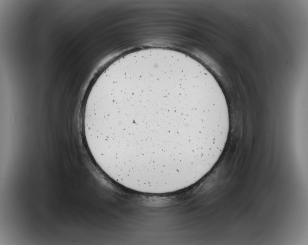 X0000085210848200703301640