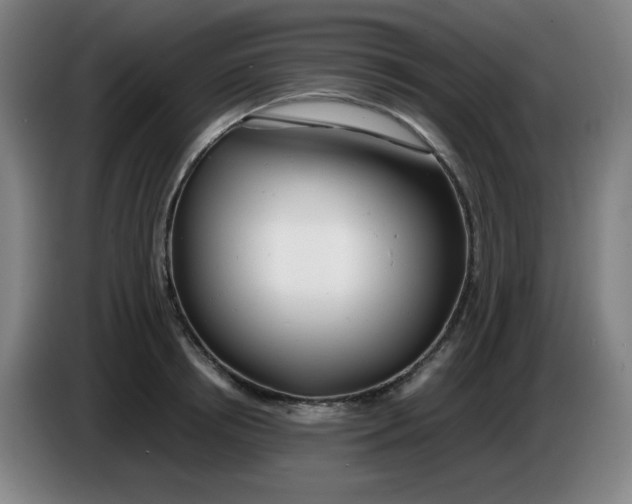 X0000085210850200703301640