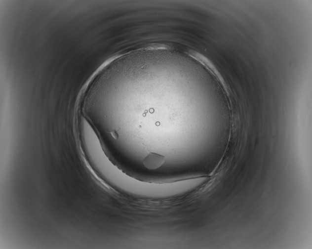 X0000085210851200703301640