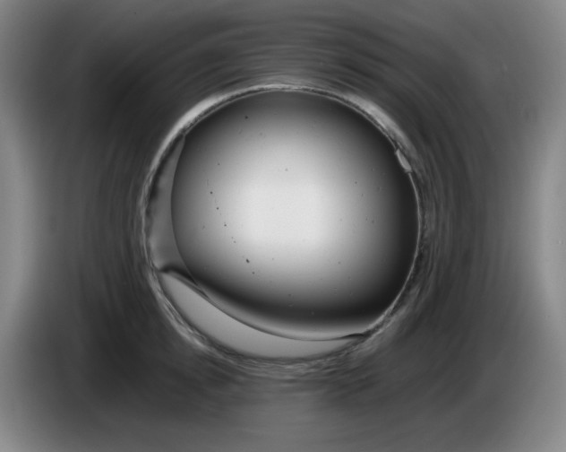 X0000085210854200703301640