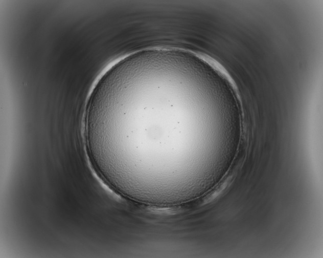 X0000085210855200703301640