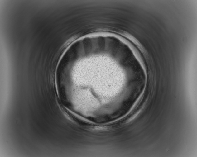 X0000085210857200703301640