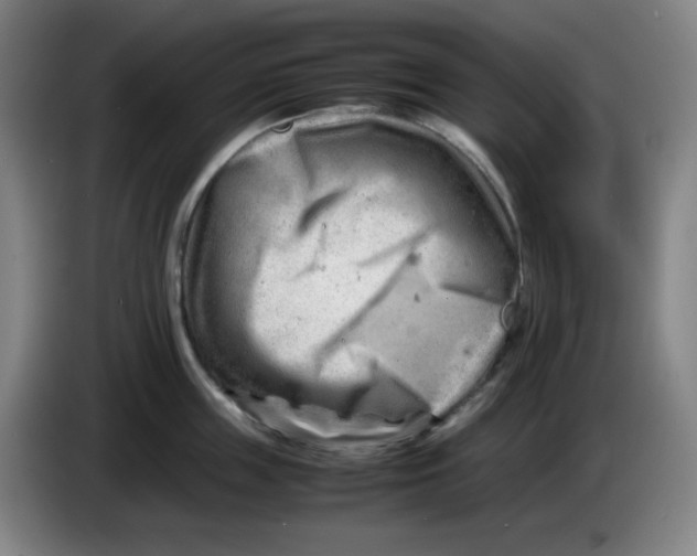 X0000085210859200703301640