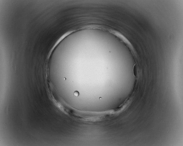 X0000085210860200703301640