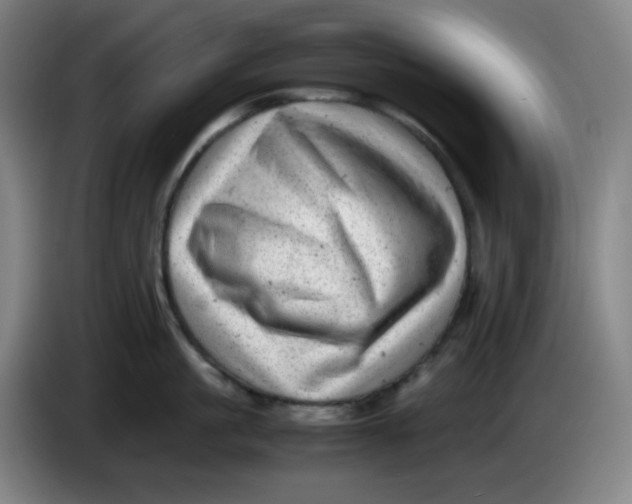 X0000085210861200703301640