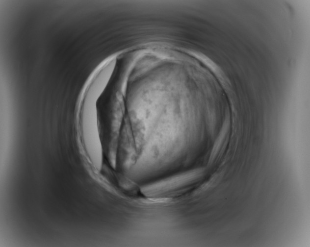 X0000085210864200703301640