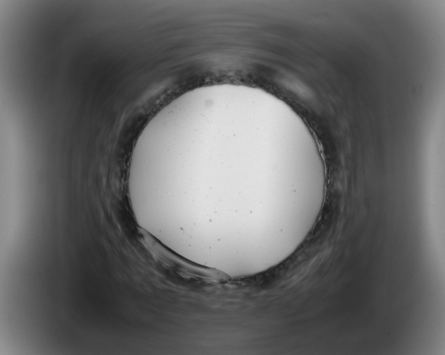 X0000085210869200703301639