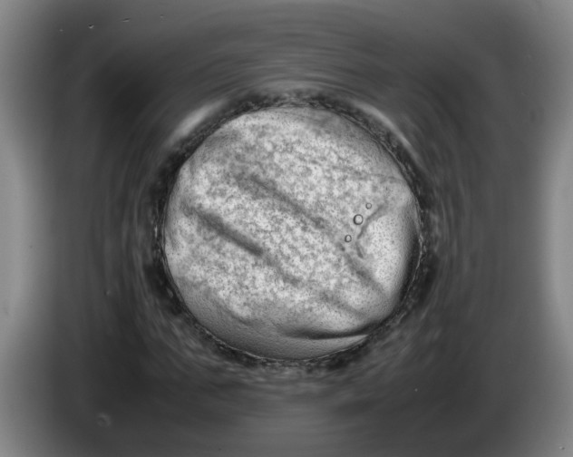 X0000085210871200703301639