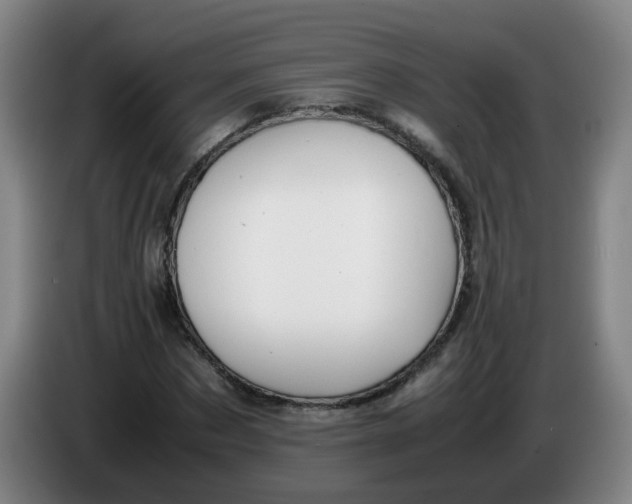 X0000085210873200703301639