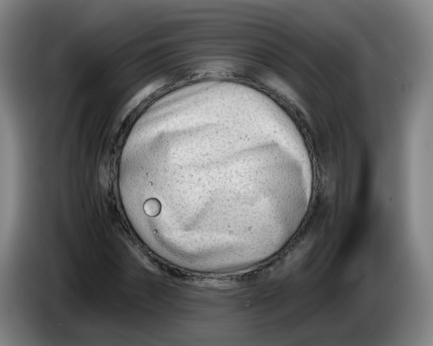 X0000085210874200703301639