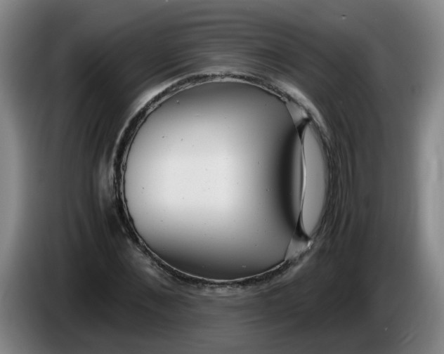 X0000085210876200703301639