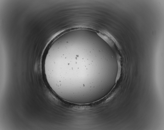 X0000085210884200703301639