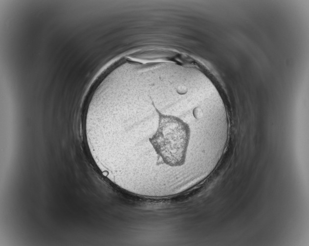 X0000085210887200703301639