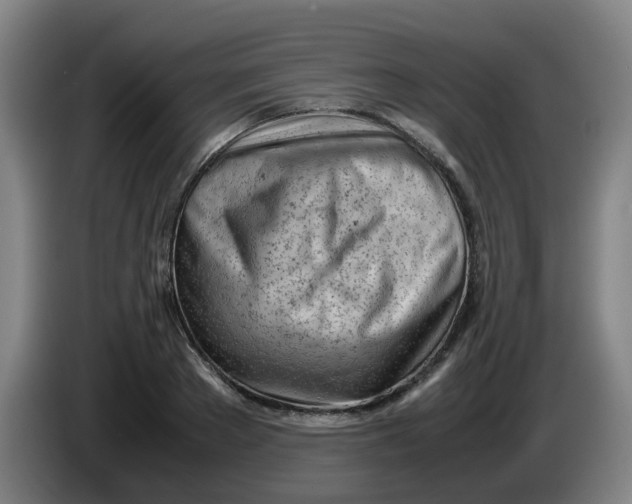 X0000085210889200703301639