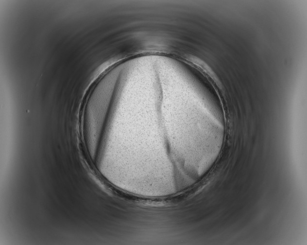 X0000085210890200703301639