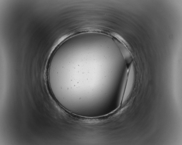 X0000085210893200703301639