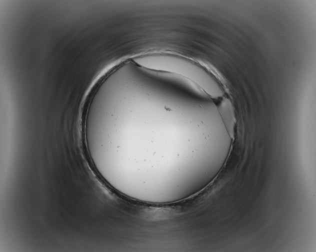 X0000085210894200703301639