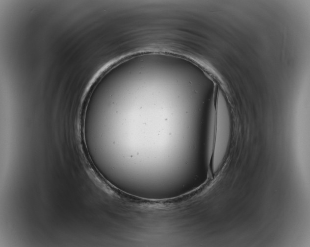 X0000085210896200703301639