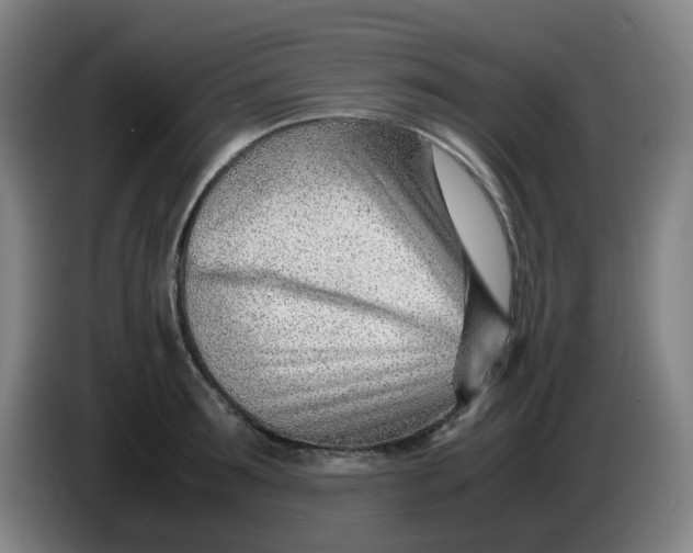 X0000085210899200703301639