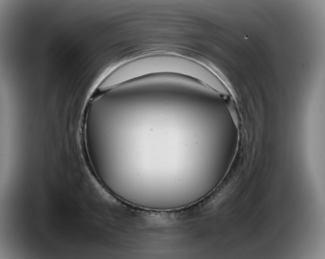 X0000085210901200703301639