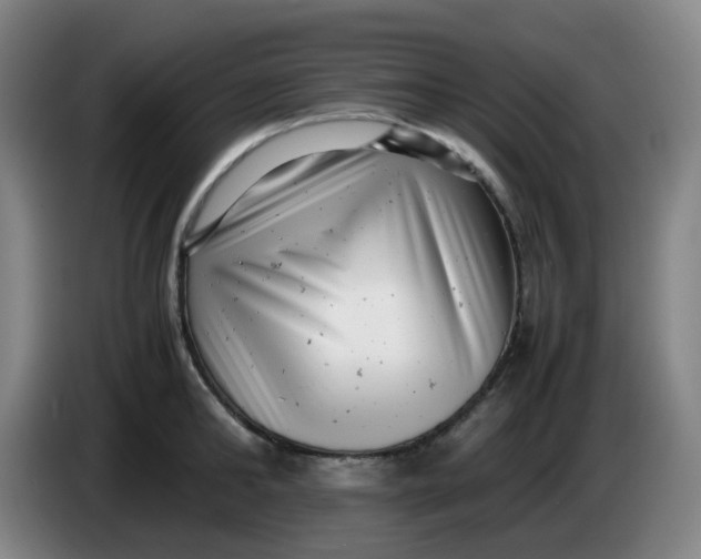 X0000085210902200703301639