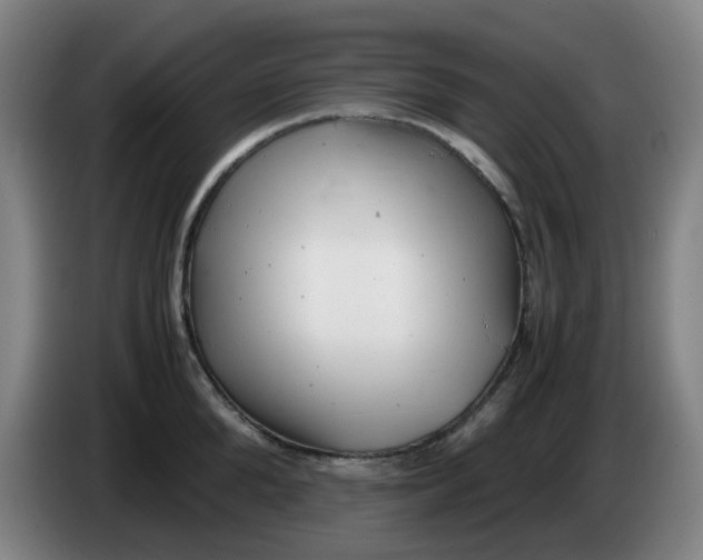 X0000085210904200703301639