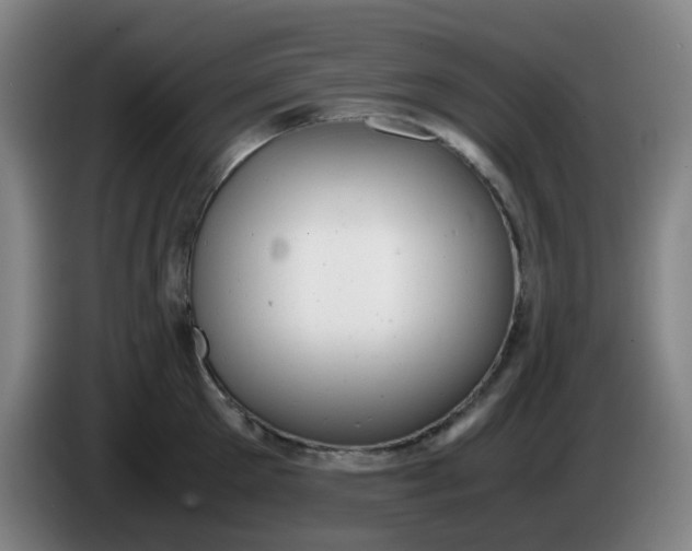 X0000085210905200703301639