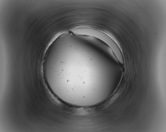 X0000085210906200703301639