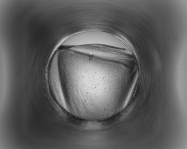 X0000085210907200703301639