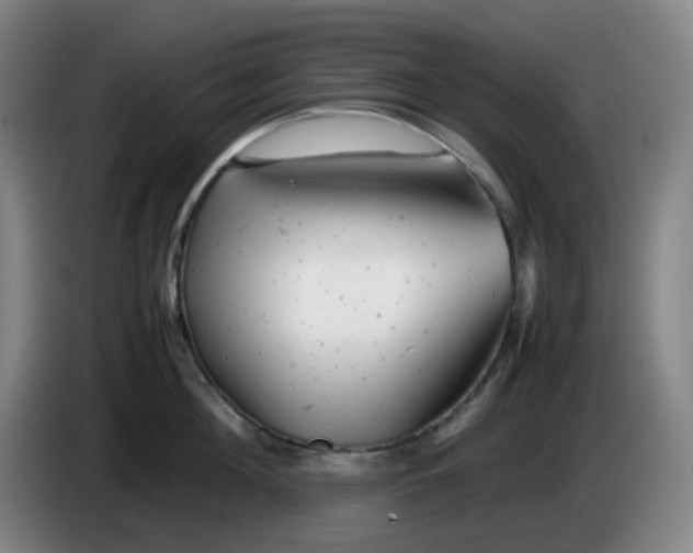 X0000085210908200703301639