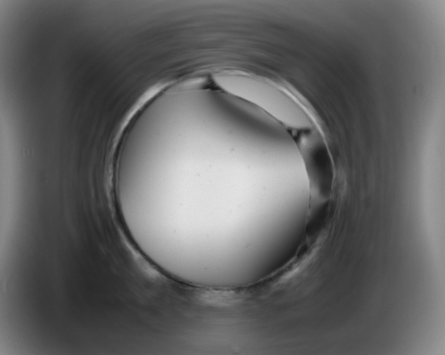 X0000085210909200703301639