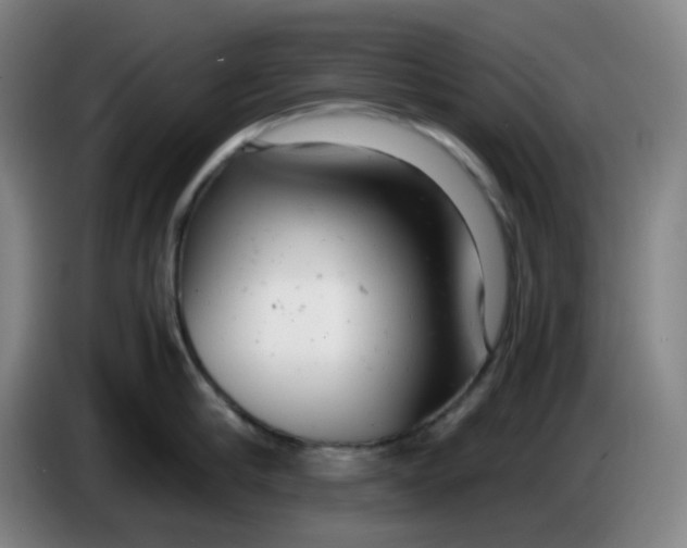 X0000085210910200703301639