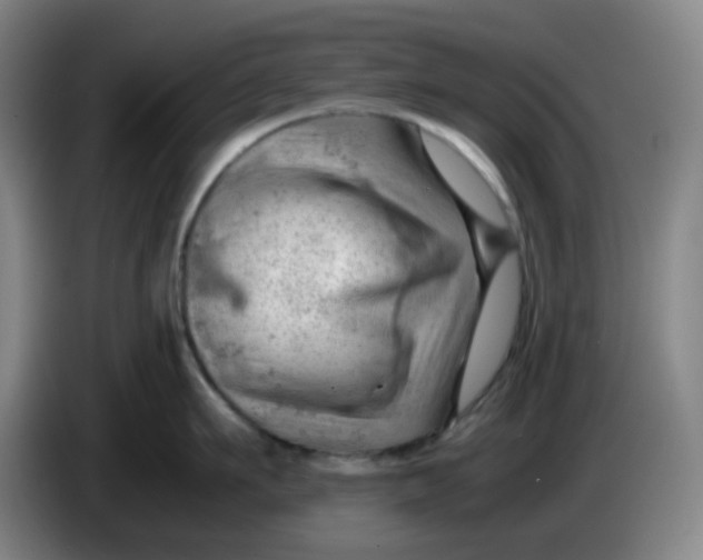 X0000085210911200703301639