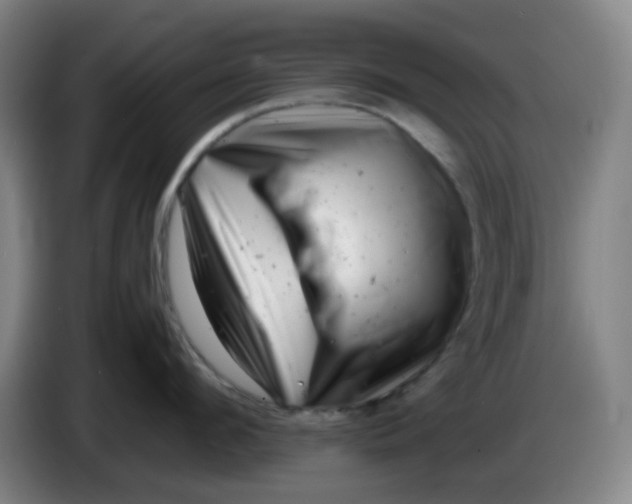 X0000085210912200703301639