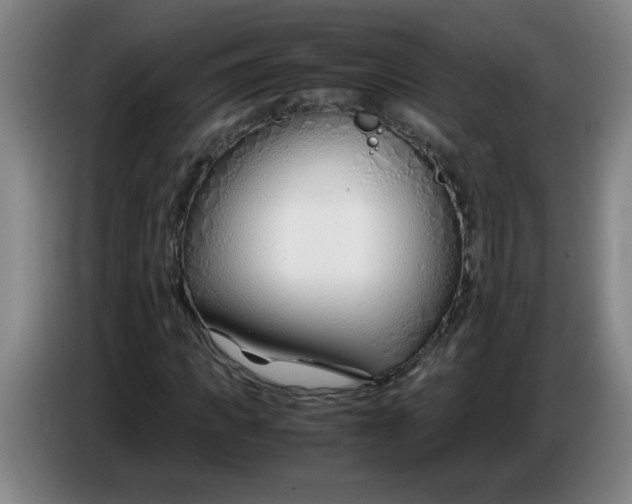 X0000085210917200703301638