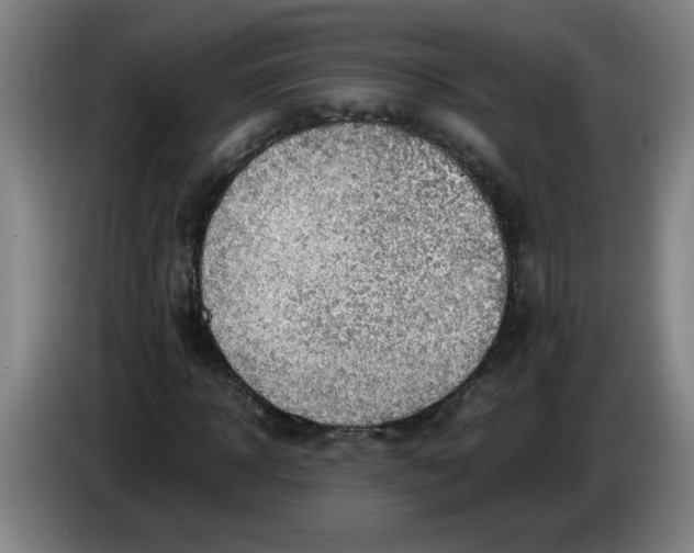 X0000085210918200703301638