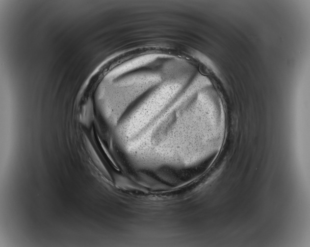 X0000085210923200703301638