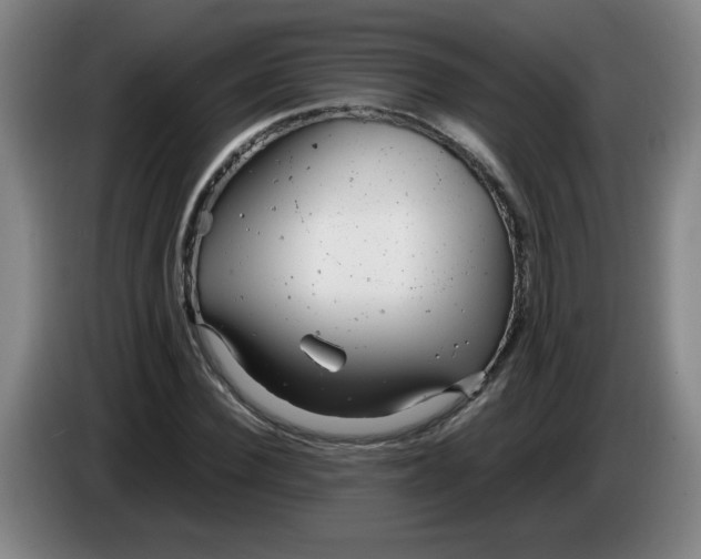 X0000085210924200703301638