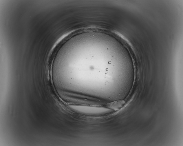 X0000085210925200703301638