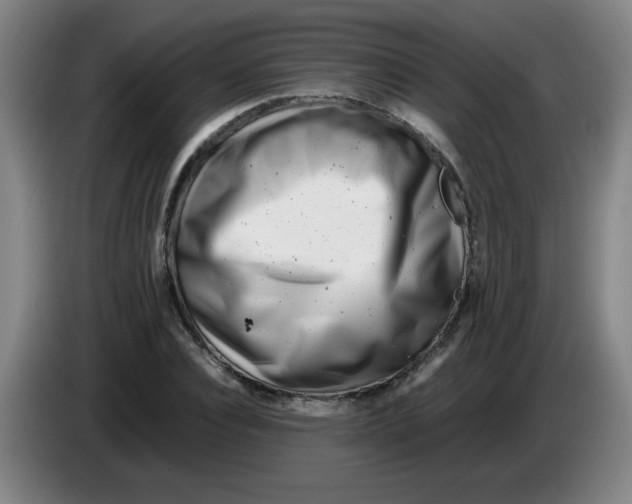 X0000085210928200703301638