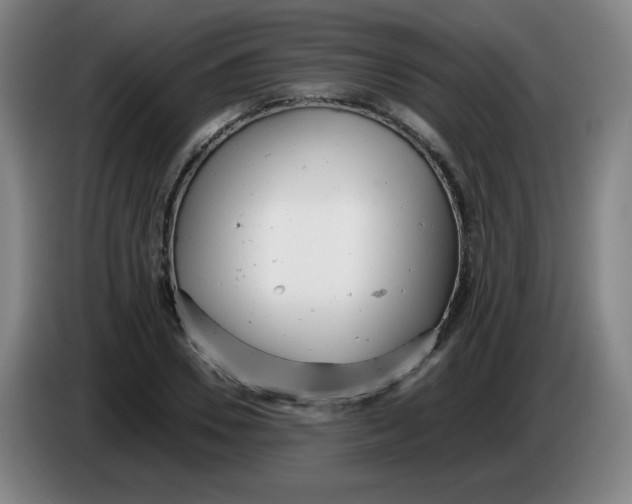 X0000085210930200703301638