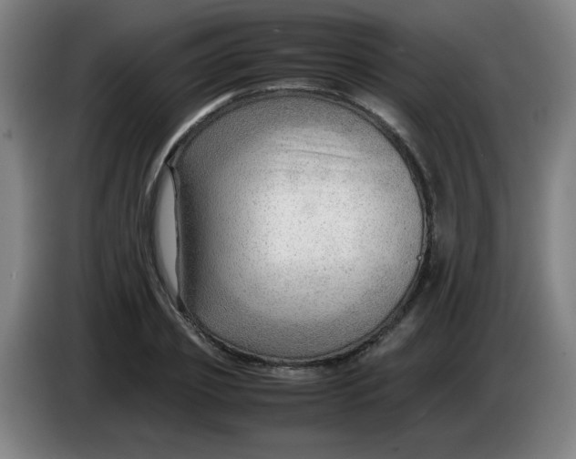 X0000085210933200703301638