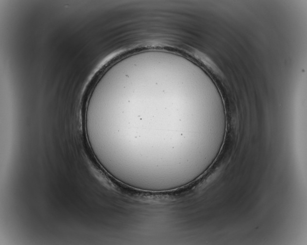 X0000085210934200703301638