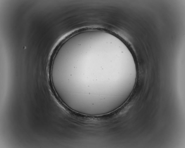 X0000085210935200703301638