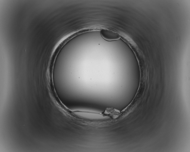 X0000085210936200703301638