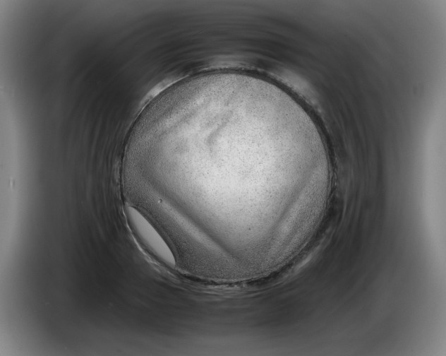 X0000085210937200703301638