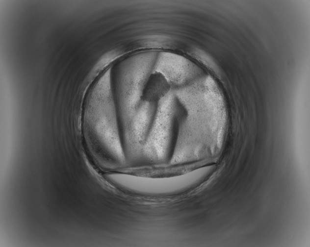 X0000085210938200703301638