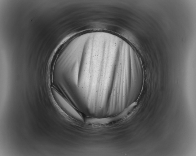 X0000085210939200703301638