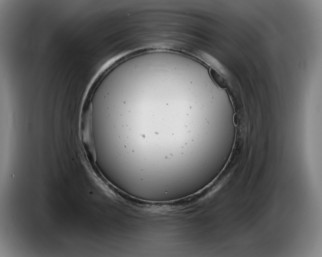 X0000085210940200703301638