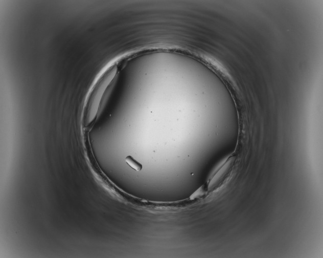 X0000085210942200703301638